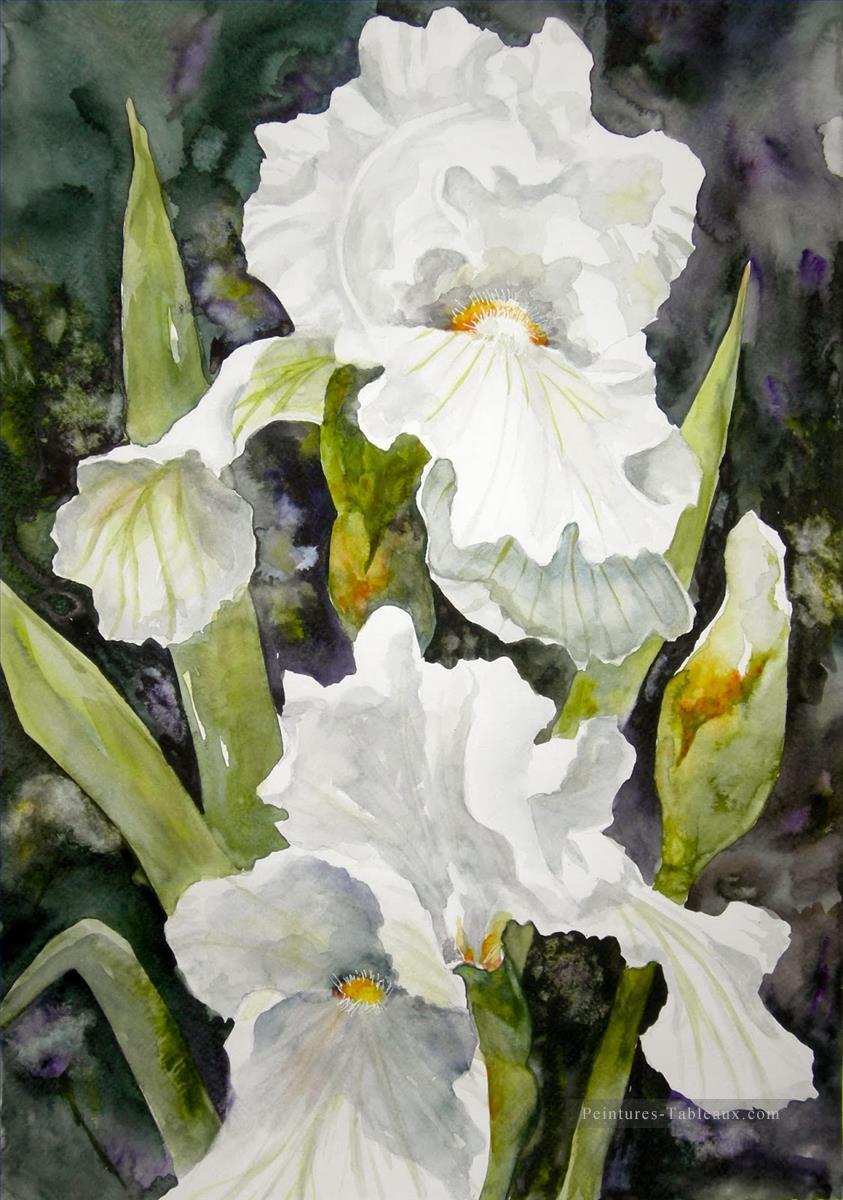 fleur blanche aquarelle Peintures à l'huile